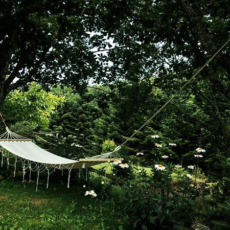 Guesthouse Rodamos Таксиархис Екстериор снимка