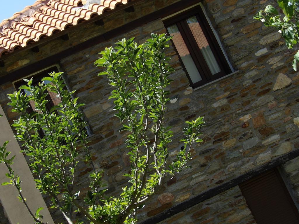 Guesthouse Rodamos Таксиархис Екстериор снимка